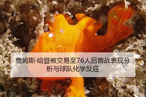 zhan-mu-si-ha-deng-bei-jiao-yi-zhi-ren-hou-shou-zhan-biao-xian-fen-xi-yu-qiu-dui-hua-xue-fan-ying-3-706.jpg